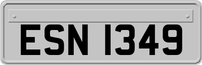 ESN1349
