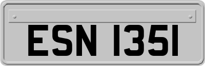 ESN1351