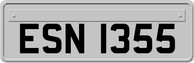 ESN1355