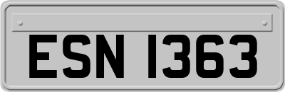 ESN1363
