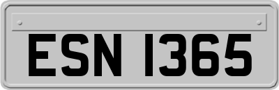 ESN1365