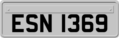 ESN1369