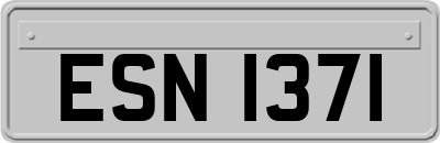 ESN1371