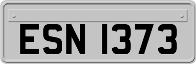 ESN1373