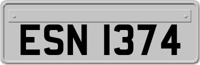 ESN1374