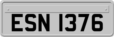 ESN1376