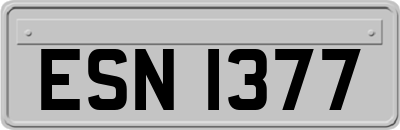 ESN1377