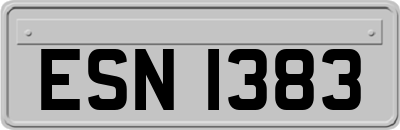 ESN1383