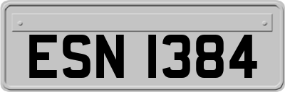 ESN1384