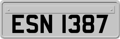 ESN1387