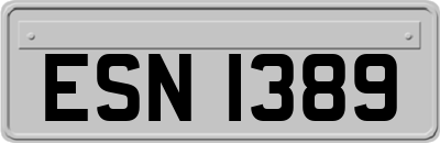 ESN1389