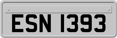 ESN1393