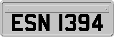 ESN1394