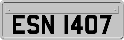 ESN1407