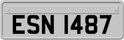 ESN1487