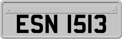 ESN1513