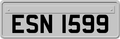 ESN1599