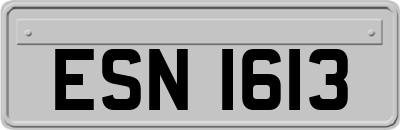 ESN1613
