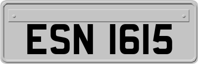 ESN1615