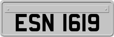 ESN1619