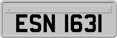 ESN1631