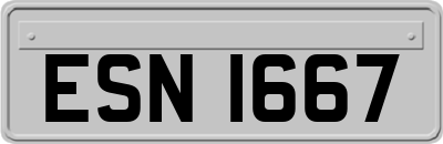 ESN1667