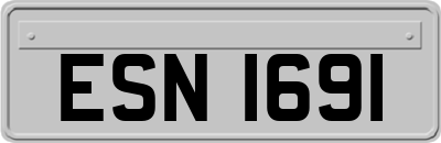 ESN1691