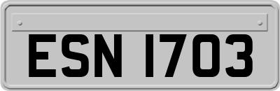 ESN1703