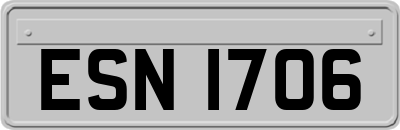 ESN1706