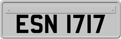 ESN1717