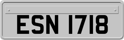ESN1718