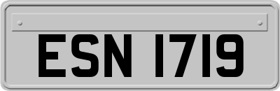 ESN1719