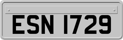 ESN1729
