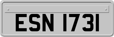 ESN1731