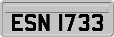 ESN1733