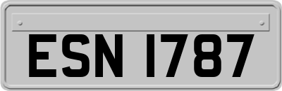 ESN1787