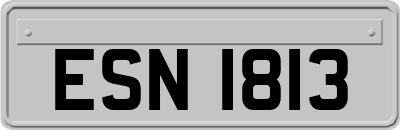 ESN1813
