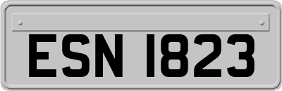 ESN1823