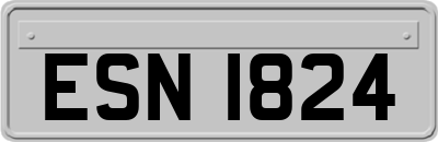 ESN1824