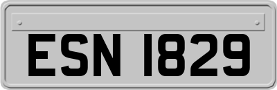 ESN1829