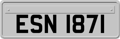 ESN1871