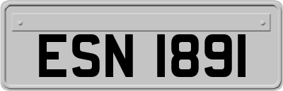 ESN1891