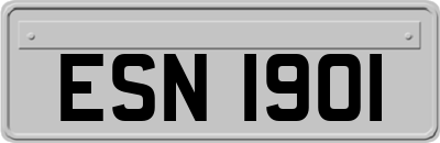 ESN1901