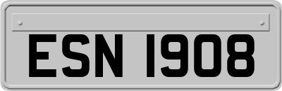 ESN1908