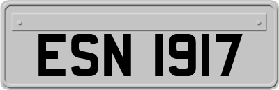 ESN1917