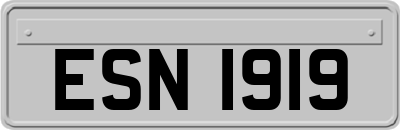 ESN1919