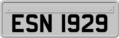 ESN1929