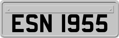 ESN1955