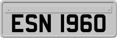 ESN1960