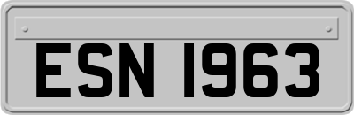 ESN1963